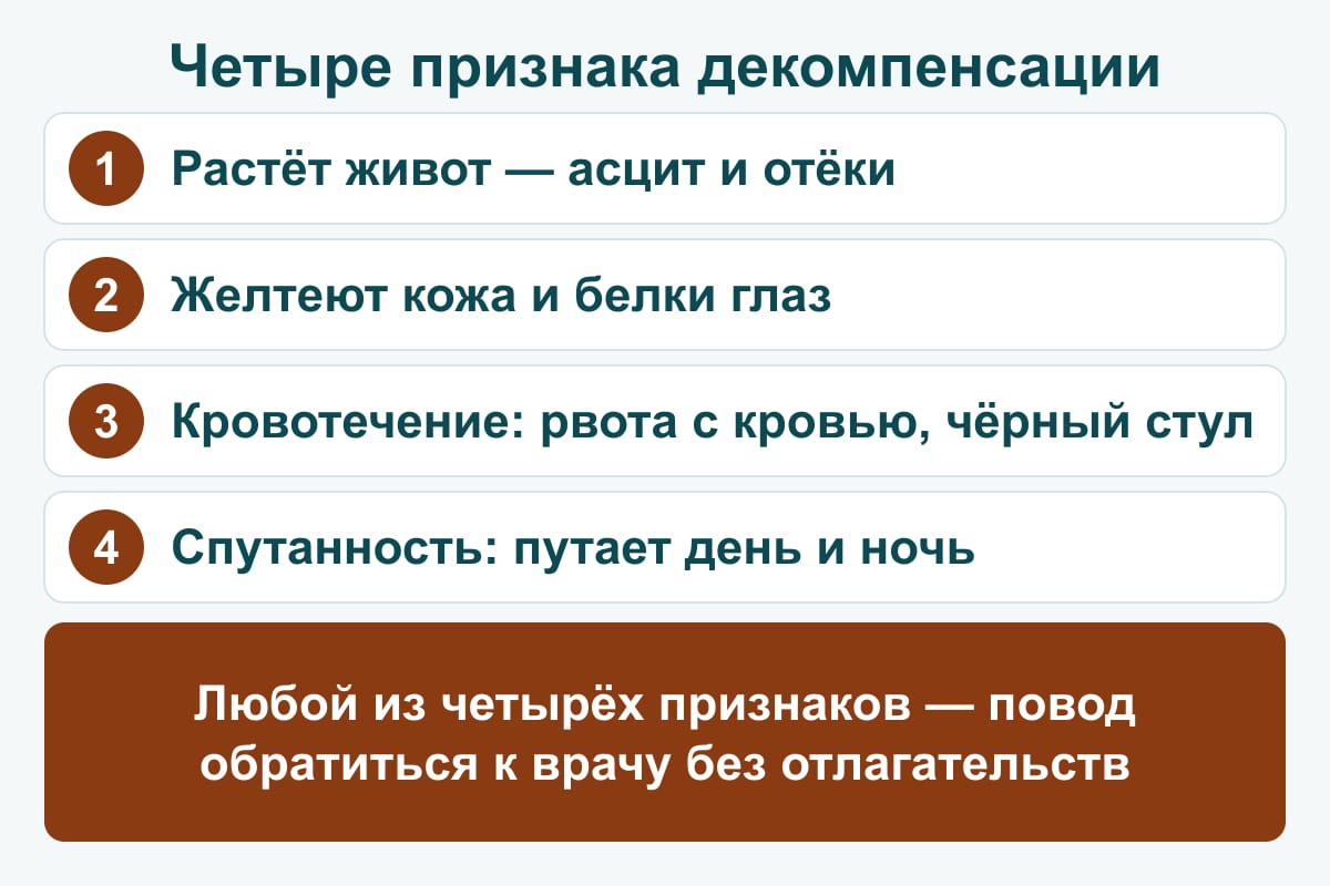 Схема: четыре признака декомпенсации цирроза — растёт живот (асцит), желтеют кожа и глаза, кровотечение, спутанность сознания